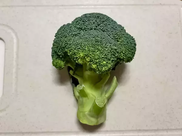 ブロッコリーは『色』で選ばない！　新鮮な選び方をプロに教えてもらった