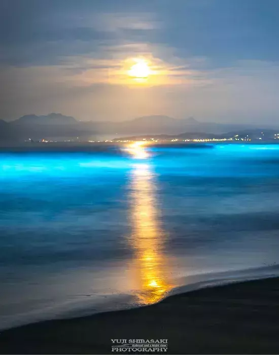深夜1時過ぎの江の島　海面に現れたのは？　奇跡の1枚に「波がLEDみたい」「不思議な絶景」