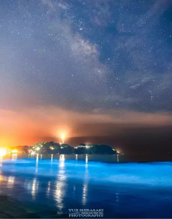 深夜1時過ぎの江の島　海面に現れたのは？　奇跡の1枚に「波がLEDみたい」「不思議な絶景」
