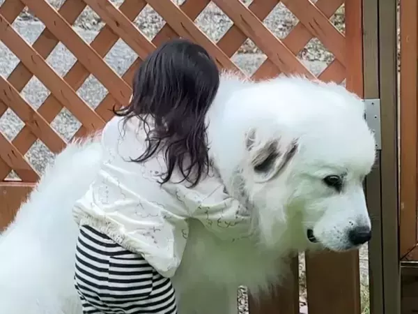 嫌なことがあった時は？　3歳娘と犬の写真に「心が温まった」