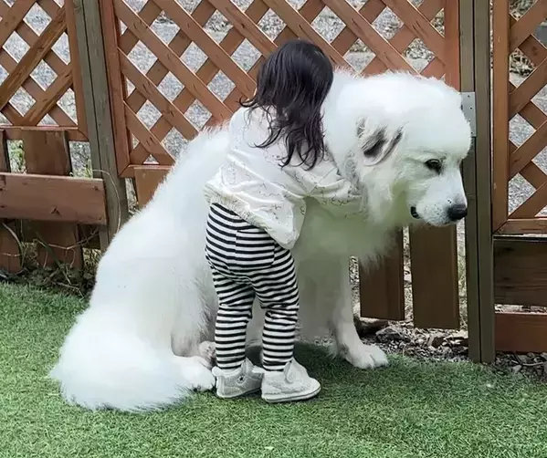 嫌なことがあった時は？　3歳娘と犬の写真に「心が温まった」