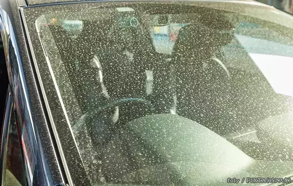 汚れるだけじゃなかった！　車を長期間洗わないと、どんな影響がある？