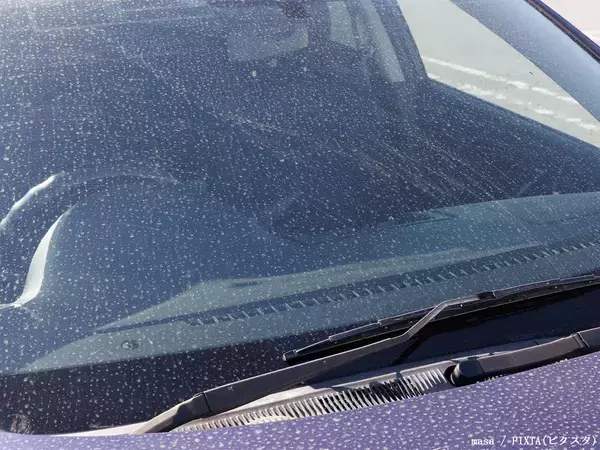 汚れるだけじゃなかった！　車を長期間洗わないと、どんな影響がある？