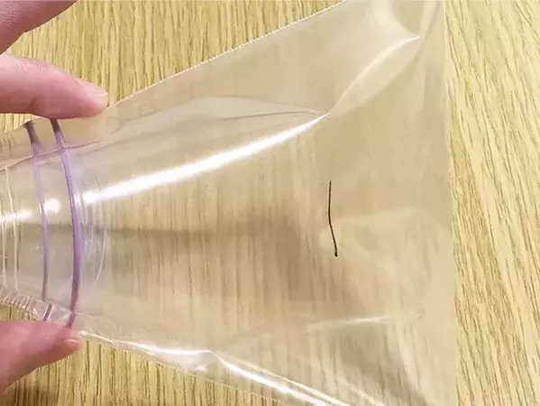 ポケットティッシュ、クシャクシャになってない？　きれいな状態を保てる方法に「考えた人頭いい」