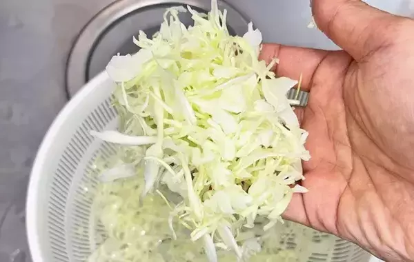 キャベツの水切り、これが正解！　ザルの後のひと手間に「驚くほどシャキシャキ」