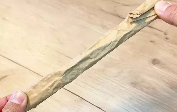 捨てないで！　トイレットペーパーの芯の活用法に「これで安心」「破けない」