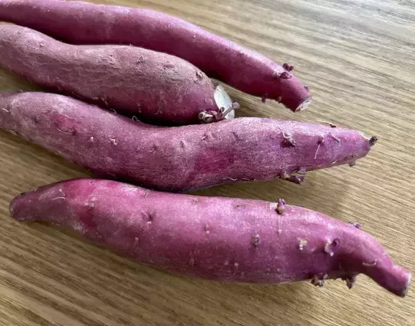 「もう食べられない」は勘違い？　芽が出たサツマイモの事実に「ためになる」「なるほど」【活用レシピ4選】