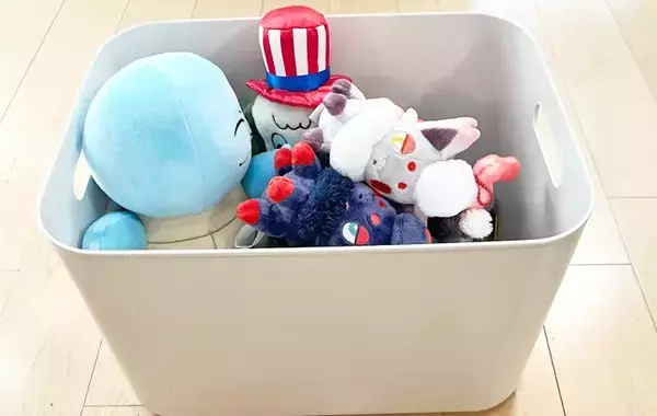 もう失敗しない！　プロが「これは間違いない」とすすめる、無印の収納グッズ3選