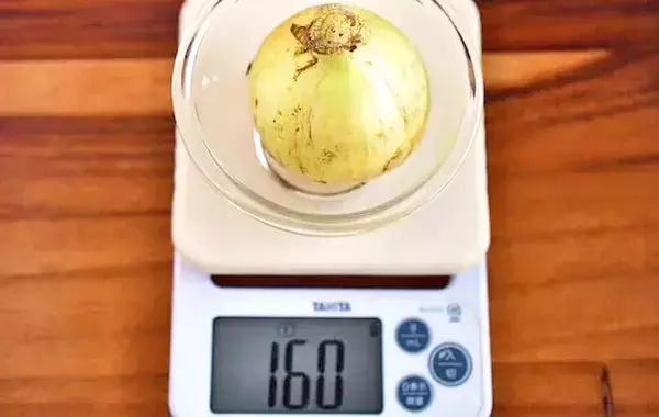 新玉ねぎに切り込みを入れて…　レンチン5分の簡単おかずに「1人で1個ペロリ」【管理栄養士のレシピ】