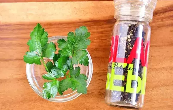 新玉ねぎに切り込みを入れて…　レンチン5分の簡単おかずに「1人で1個ペロリ」【管理栄養士のレシピ】