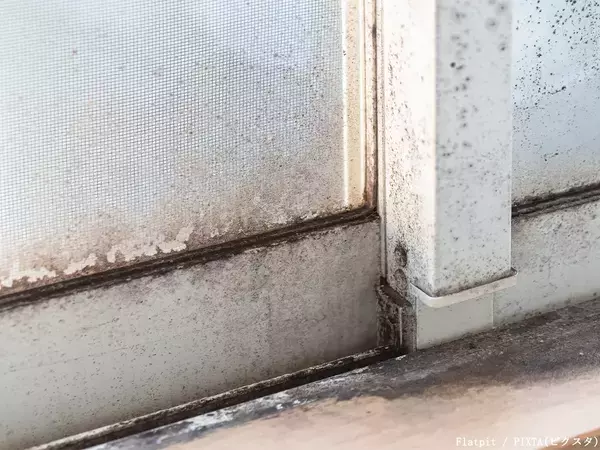 室温20度はカビにとっても適温！　専門家おすすめの窓の黒カビを防ぐ方法