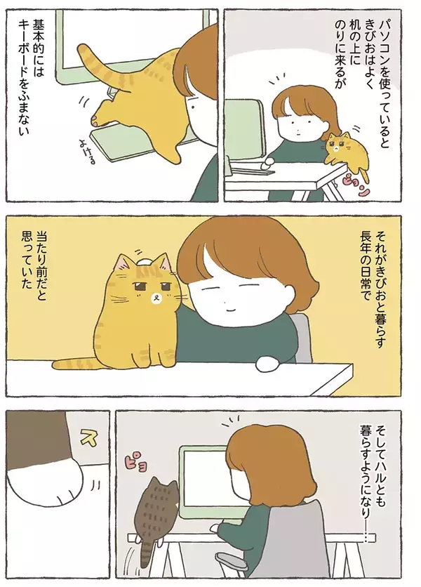 「キーボードを踏むか踏まないかは猫それぞれ」　漫画で描く『愛猫の性格の違い』に癒される！