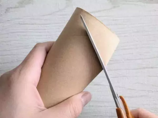 トイレットペーパーの芯は捨てないで！　意外な使い道に「驚いた」「正解だった」