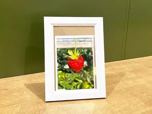 サイズが合わないフォトフレーム、あきらめないで！　写真がずれない“輪ゴム活用術”