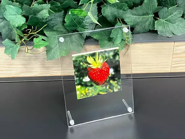 サイズが合わないフォトフレーム、あきらめないで！　写真がずれない“輪ゴム活用術”