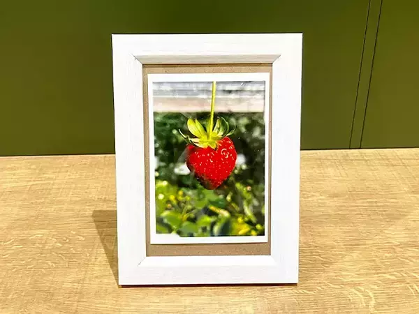 サイズが合わないフォトフレーム、あきらめないで！　写真がずれない“輪ゴム活用術”