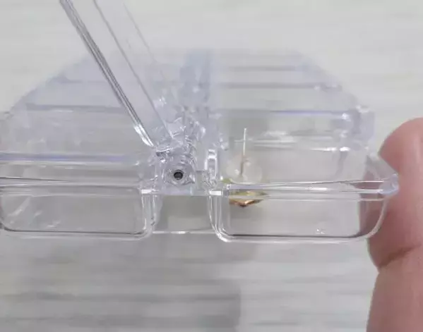 小さなピアスが取り出せないなら？　製氷皿を使う驚きの理由に「めっちゃ便利」「なるほど」