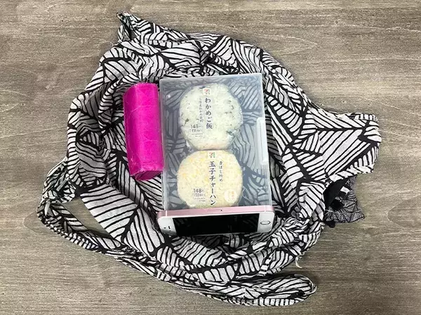 もうおにぎりをカバンの中でつぶさない！　ダイソー『はがき整理ケース』の“じゃない使い方”