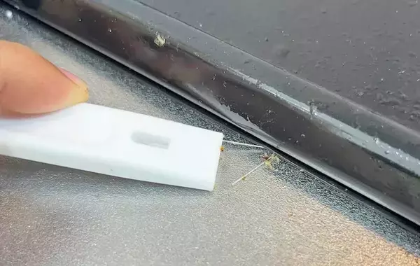 黒ずみやカス汚れにはコレ！　ダイソーの『ヘラ』で叶える掃除術に「きれいにできるからやる気が出る」