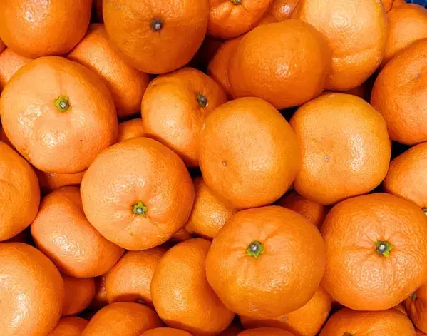 「腐ってると思って捨ててた」　ミカンの『黒い斑点』の正体に「知らなかった」【豆知識4選】