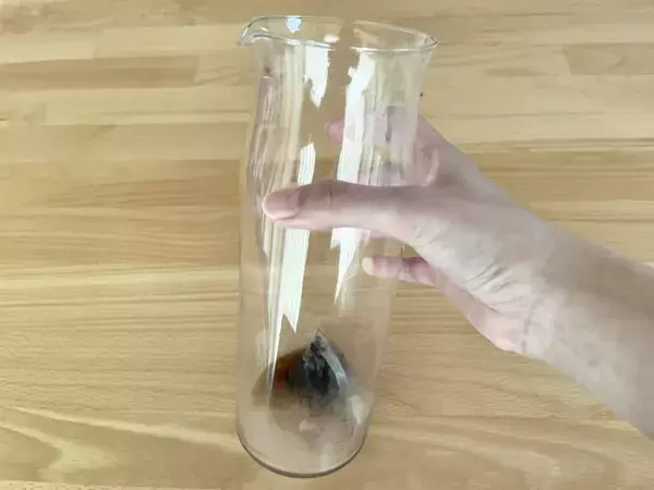 麦茶パックの出がらし、捨てないで！　思わぬ活用法に「ちょっと感動」「洗い物がラクになった