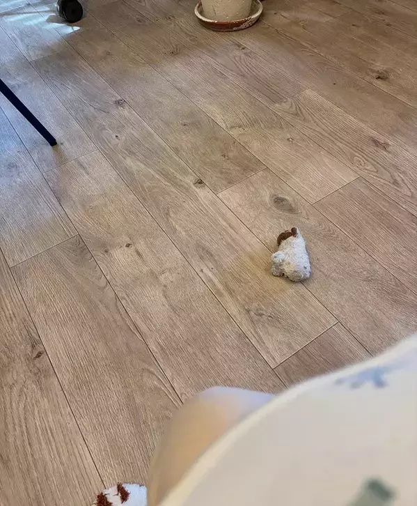 寝返りを特訓中の赤ちゃん　愛猫がやって来て渡したものが？「涙出た」「尊すぎて絶叫」【エッセイ漫画】