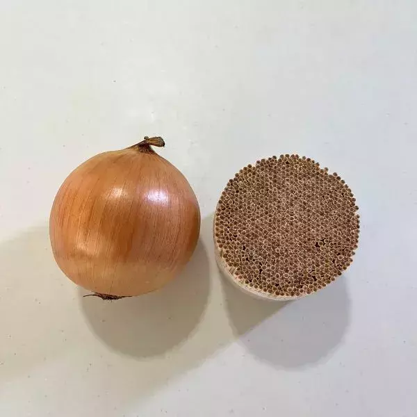 つまようじを刺してから『タマネギ』を切ると？　画期的な裏技に「この発想はなかった」