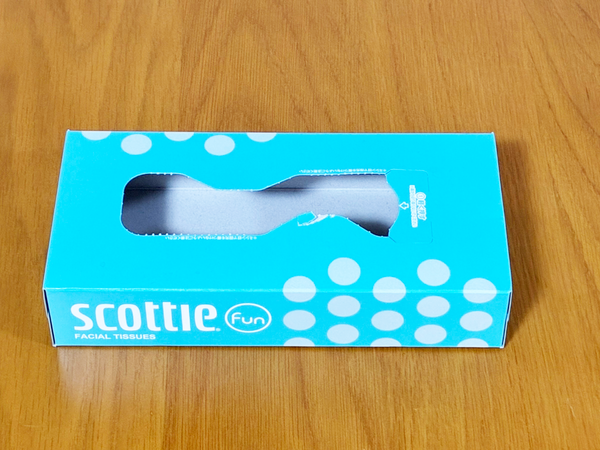 ティッシュの空き箱を捨てるのは損！　中身を詰め替えるだけで…「家事の負担が軽減」