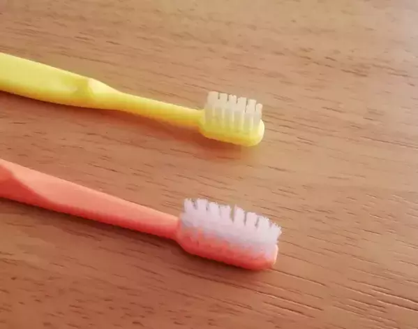 「専用ケースはもう買わない」　歯ブラシの持ち運び術に「めっちゃ便利」「すぐやる」【持ち運びの裏技4選】