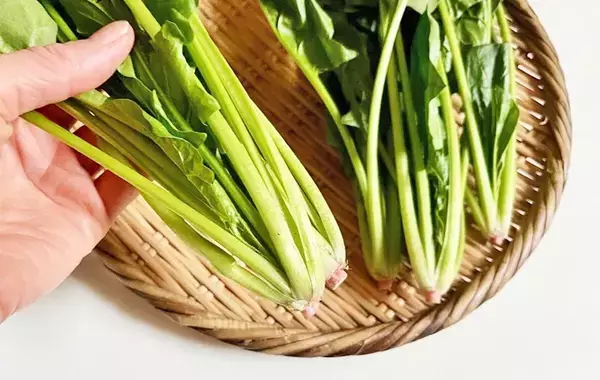 ほうれん草と豚バラ肉を重ねて…　できた簡単おかずに「息子がおかわり」【10分レシピ】