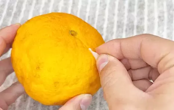 食パンの留め具、余った時には？　フルーツの皮むきに使う方法に「包丁いらず」「簡単にできた」