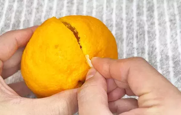 食パンの留め具、余った時には？　フルーツの皮むきに使う方法に「包丁いらず」「簡単にできた」