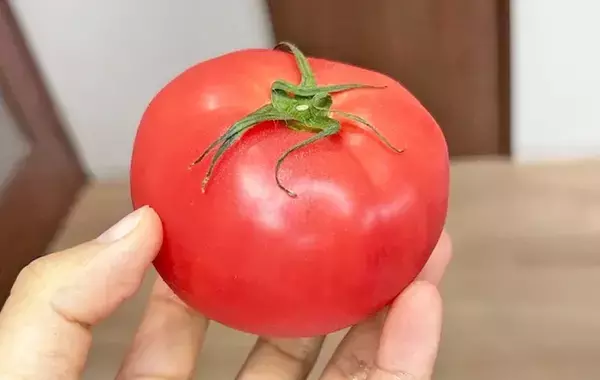 まだ普通に切ってる？　トマトを切る時はフォークを刺すだけで…「断面がきれい！」