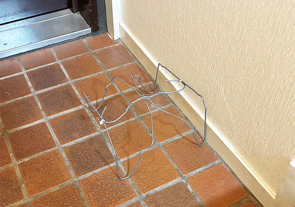 ハンガー2本を『交差』すると…　玄関がスッキリ片づく収納ワザに「考えた人、天才！」