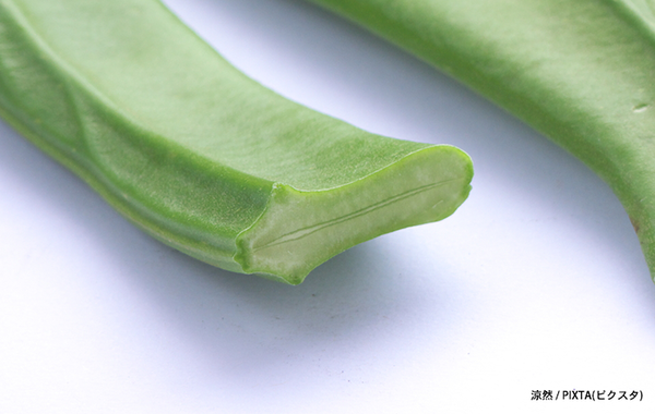 福神漬けに入っている『剣』の正体は？　調べてみた結果…「そうだったのか」