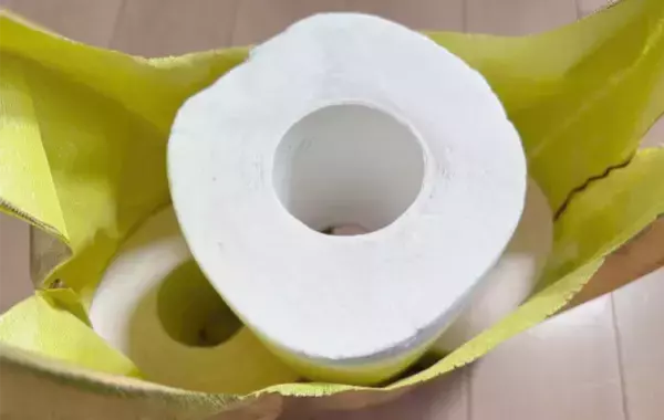 エコバッグをトイレで吊るすと…　買い物以外の使い道に「これアリ！」【活用法3選】