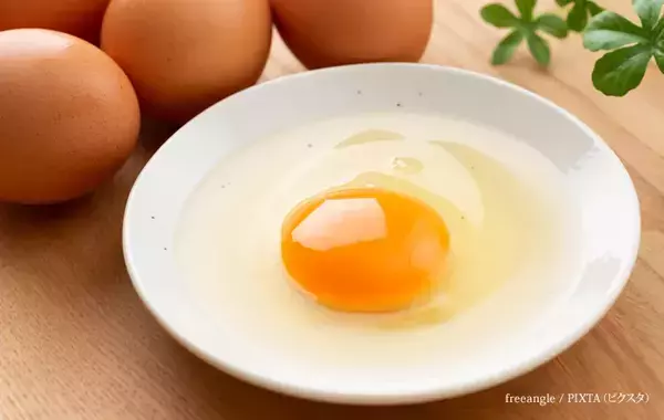 冷蔵庫のドアポケットはNG！　卵の生産者がすすめる正しい保存方法