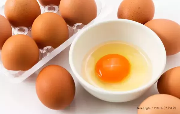 冷蔵庫のドアポケットはNG！　卵の生産者がすすめる正しい保存方法