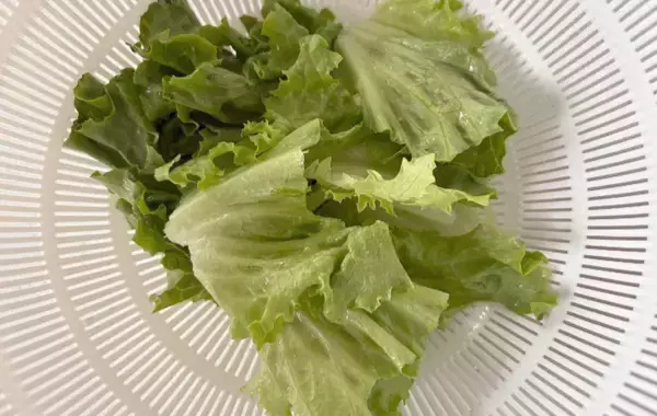 から揚げを見た息子「なんかかかってる…」　冷蔵庫の調味料を混ぜるだけで、ご飯が止まらない