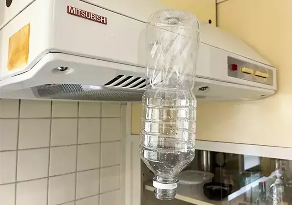 もう直置きしない！　洗ったペットボトルを『浮かせて収納』するワザに「悩みが解決！」