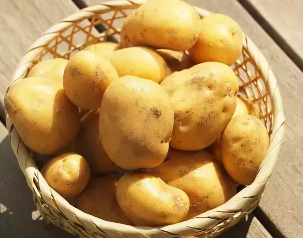 ジャガイモの意外なゆで方に「目からウロコ」「今夜やってみる」【調理テク4選】