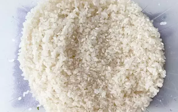 お花見弁当はこれで決まり！　旬のアスパラが映える『彩りごちそうご飯』