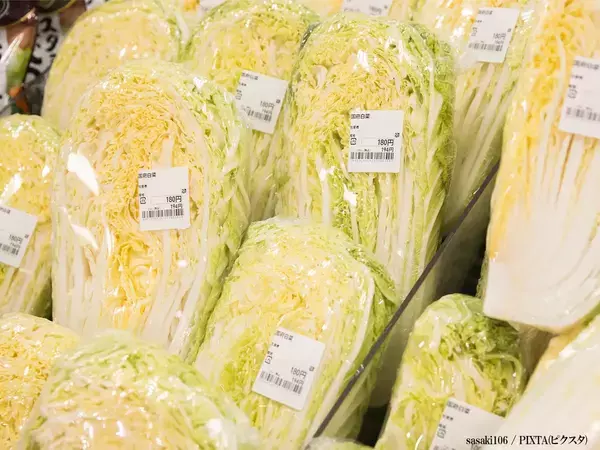 余った白菜が主役に大変身！　加藤茶も絶賛した簡単シュウマイがこちら