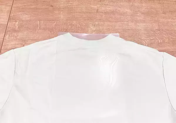 Tシャツ皺だらけから卒業！　セリアのクリアファイルを使って畳む裏技