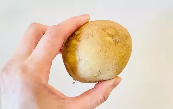 子供「フライドポテトより好きかも！」　新ジャガイモの食べ方に「コクがすごい」「手間がかからない」