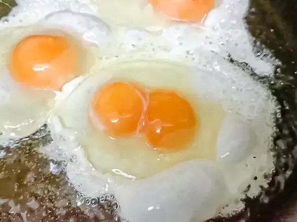 “黄身が2つ”見つけたらどうする？　日本卵業協会の回答は…