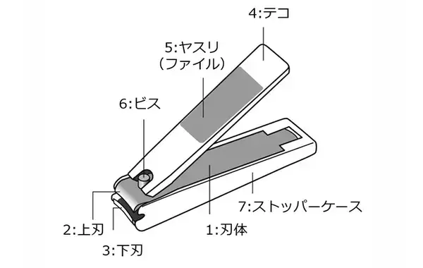 ゴシゴシ削らないで！　貝印が教える「爪切りのやすり」の正しい使い方