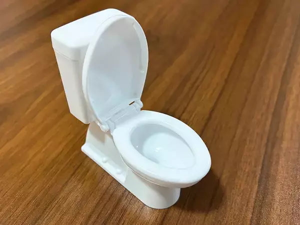 セリアで見つけた『洋式トイレ』　リアルなミニチュアがデスクで役に立つ！【活用法3選】