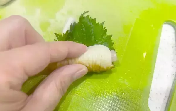 大葉があったら作って！　ショウガ×ちくわの“簡単” おかずに、夫が「最高！」レシピ