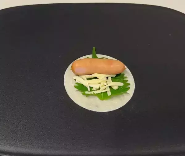 餃子の皮でソーセージを巻いて5分　完成した姿に「見事に大化け」「ビールが消えるぞ」